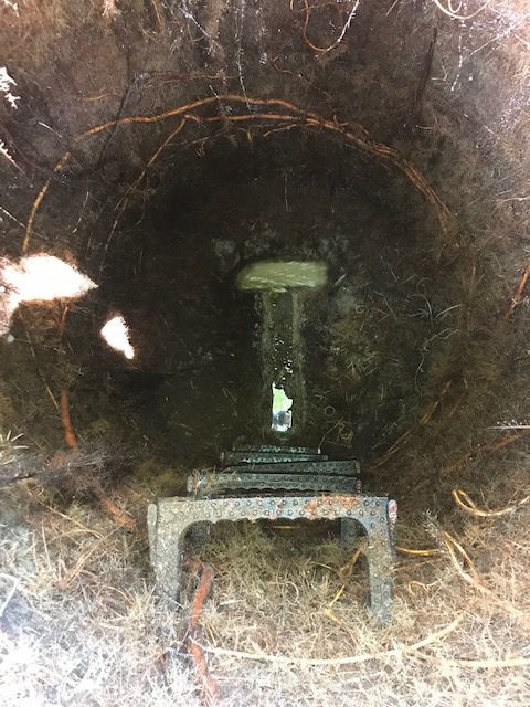 image1.jpeg
